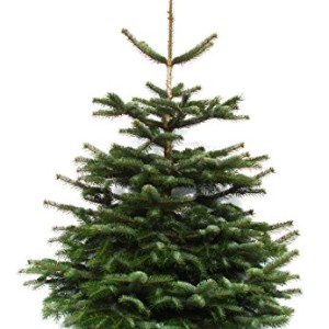 k 252 nstliche weihnachtsb 228 ume kaufen hochwertige qualit 228 t k 252 nstliche weihnachtsb 228 ume kaufen hochwertige qualit 228 t